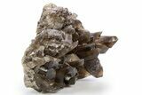 Dark Smoky Quartz Crystal Cluster - Brazil #330464-1